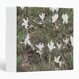 Classeur Perce-Neige Blancs dans l'Herbe de Printemps