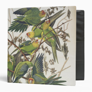 Classeur Perruche de Caroline, des "oiseaux de l'Amérique"