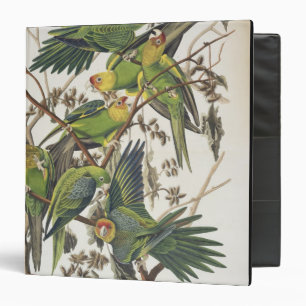 Classeur Perruche de Caroline, des "oiseaux de l'Amérique"