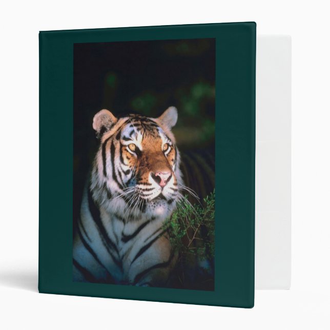 Classeur personnalisable de tigre (Devant/intérieur)