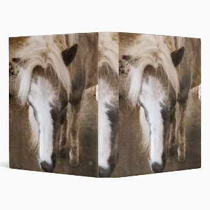 Classeur Pet me - Cheval