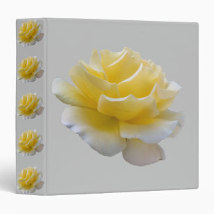 Classeur Pétales de rose jaune
