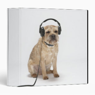Classeur Petit chien portant un casque