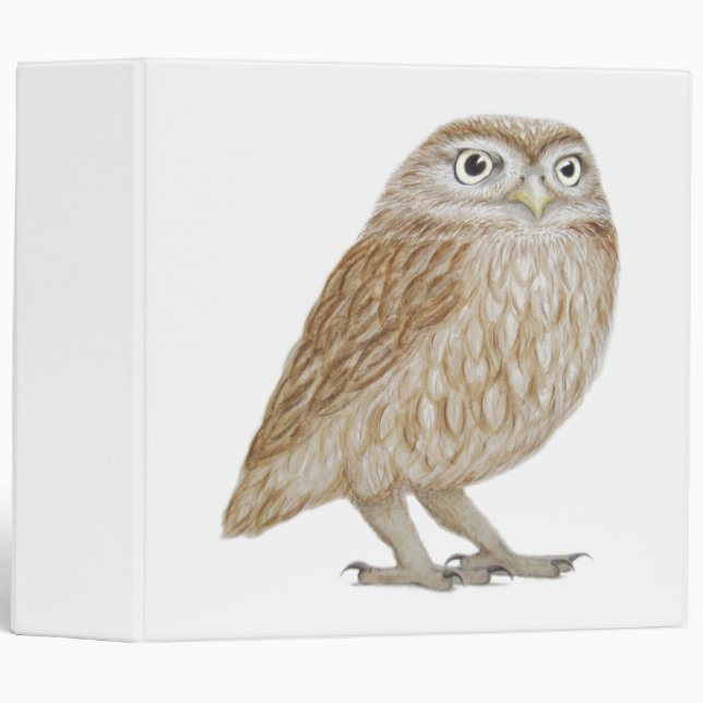 Classeur Petit hibou 2011 (Devant/Côté)