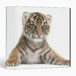 Classeur Petit tigre de Sumatran