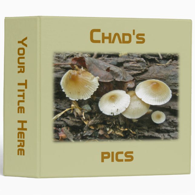 Classeur Petits Parasols Champignons en rondins (Devant/Côté)