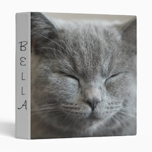 Classeur Photo Cute Gray Kitty Visage