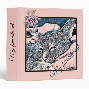 Classeur Photo de chat, chat, Animaux domestiques,