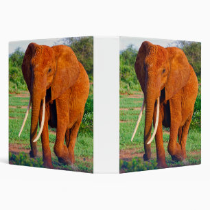 Classeur Photo d'éléphant d'Afrique adulte