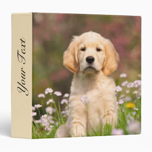 Classeur Photo mignonne d'animal de visage de chiot de