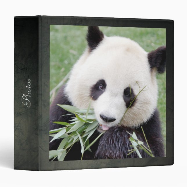 classeur Photo panda géant, animaux 0096. (Devant/Côté)