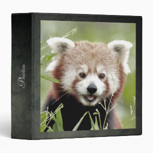 classeur Photo panda rouge, animaux 0135.