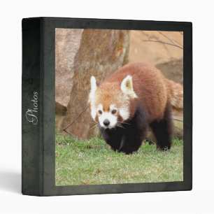 classeur Photo panda rouge, animaux 0138.