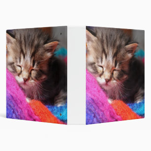 Classeur Photographie de petit chaton nouveau-né endormi et