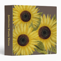 Photos de famille de tournesols bruns jaunes