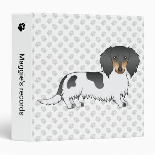Classeur Piebald Noir Et Tan Cheveux Long Chien Dachshund