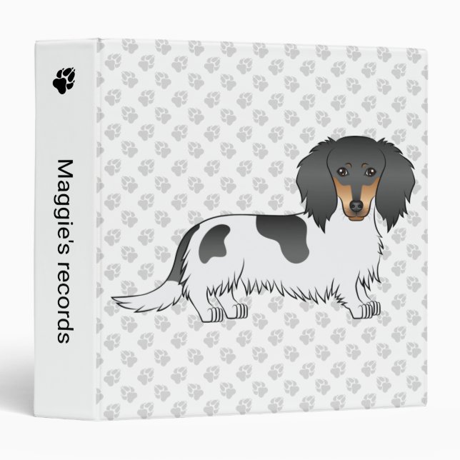 Classeur Piebald Noir Et Tan Cheveux Long Chien Dachshund (Devant/Côté)