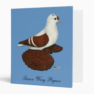 Classeur Pigeon à aile rouge