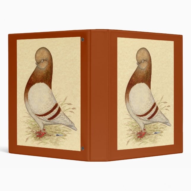 Classeur Pigeon Tumbler : LFCL Mealy (Arrière-plan)