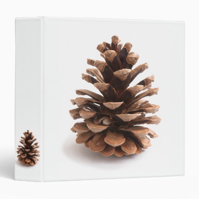 Classeur Pinecone (Devant/Côté)