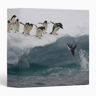 Classeur Pingouins d'Adelie plongeant dans la mer Paulette