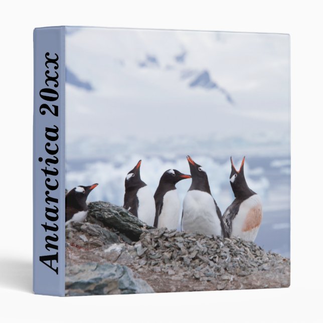Classeur Pingouins en Antarctique photo personnalisable (Devant/Côté)
