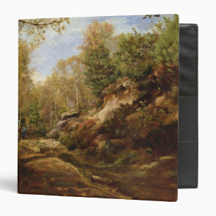 Classeur Pins et arbres de bouleau ou la forêt de