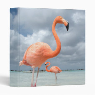 Classeur Plage Aruba de Flamants roses