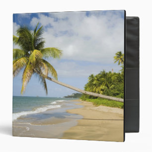 Classeur Plage de Coconut Grove à Cades Bay, avec St. 2