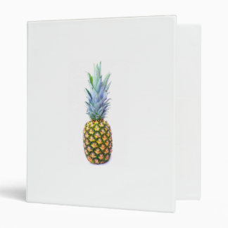 Classeur Plage de fruits d'ananas Dessert coloré Tropical