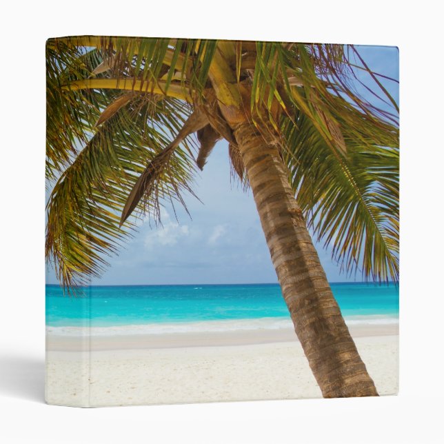 Classeur Plage du Paradis tropical (Devant/Côté)