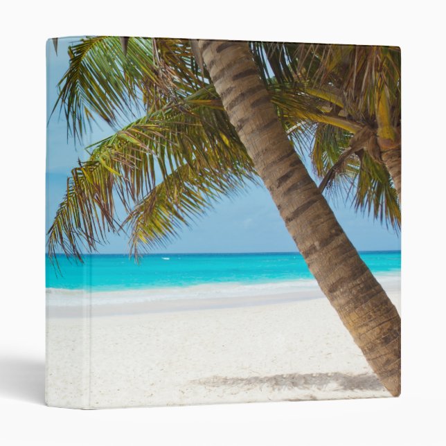 Classeur Plage du Paradis tropical (Devant/Côté)