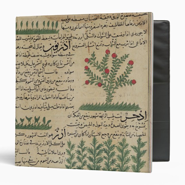 Classeur Plantes botaniques, illustration de ' (Devant/Intérieur)