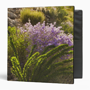Classeur plantes du désert de Chihuahuan en fleurs