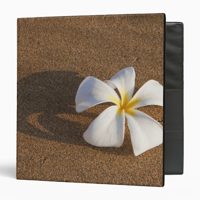 Classeur Plumeria sur la plage de sable, Maui, Hawaii, État (Devant/Intérieur)