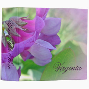 Classeur Pois de plage - Lathyrus japonicus - Fleur sauvage