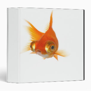 Classeur Poisson d'or aux grands yeux