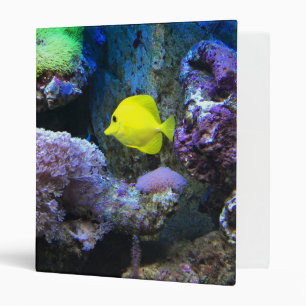 Classeur Poisson jaune