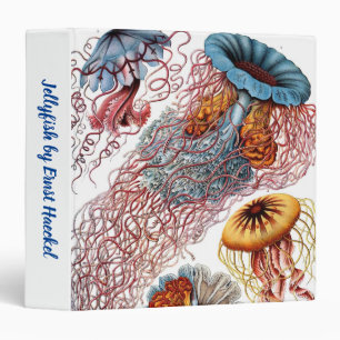 Classeur Poisson vintage par Ernst Haeckel, Discomedusae