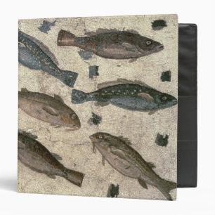 Classeur Poissons (mosaïque)