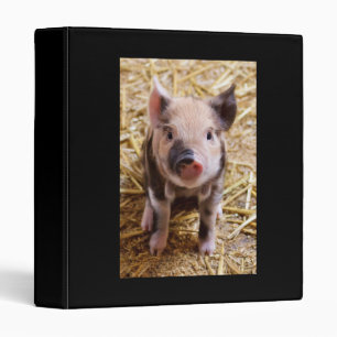 Classeur Porcelet