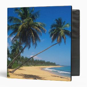 Classeur Porto Rico, Isla Verde, palmiers.