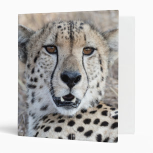 Classeur Portrait de Cheetah