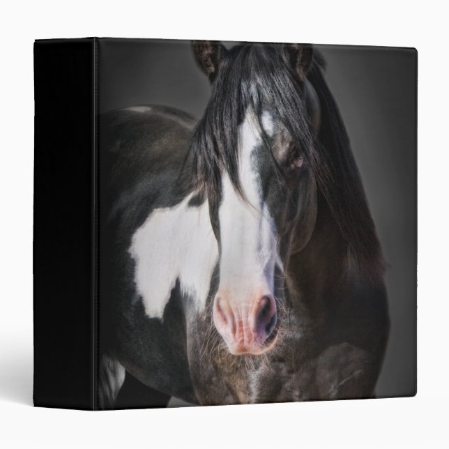 Classeur Portrait de cheval II (Devant/Côté)