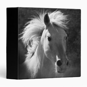 Classeur Portrait de cheval V