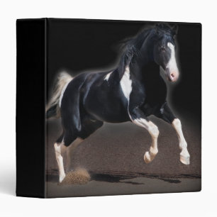 Classeur Portrait de cheval VIII