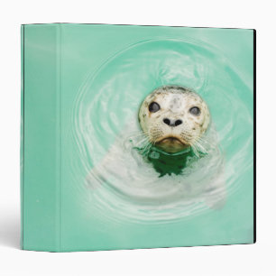 Classeur Portrait d'un joint dans l'eau