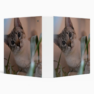 Classeur Portrait photo de chat