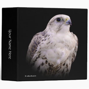 Classeur Portrait signé d'un faucon de Saker curieux