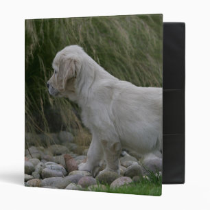 Classeur Position de chiot de golden retriever